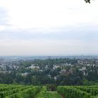 Panoramablick über Wiesbaden