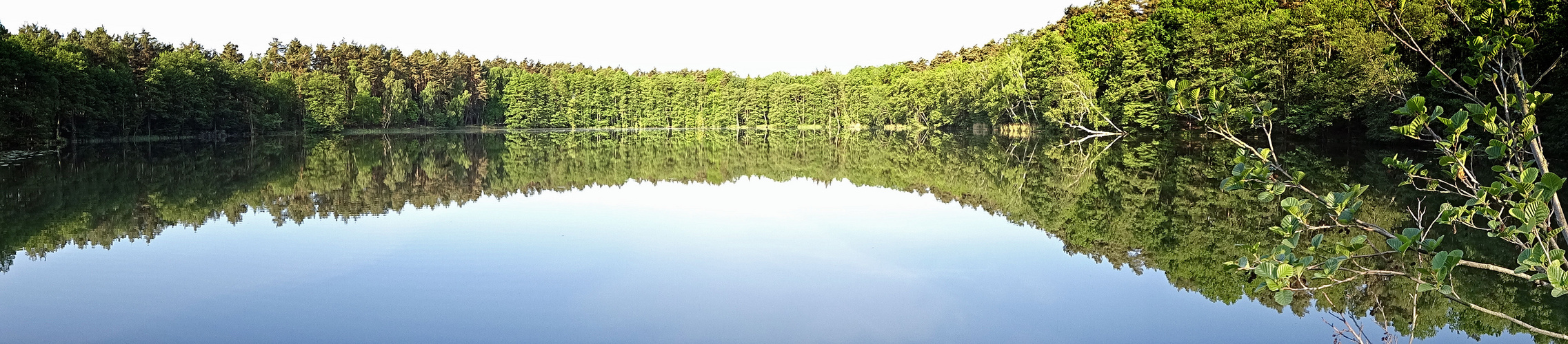 Panoramablick vom Lellichower See