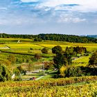 Panoramablick vom Letzenberg Richtung Galgenberg