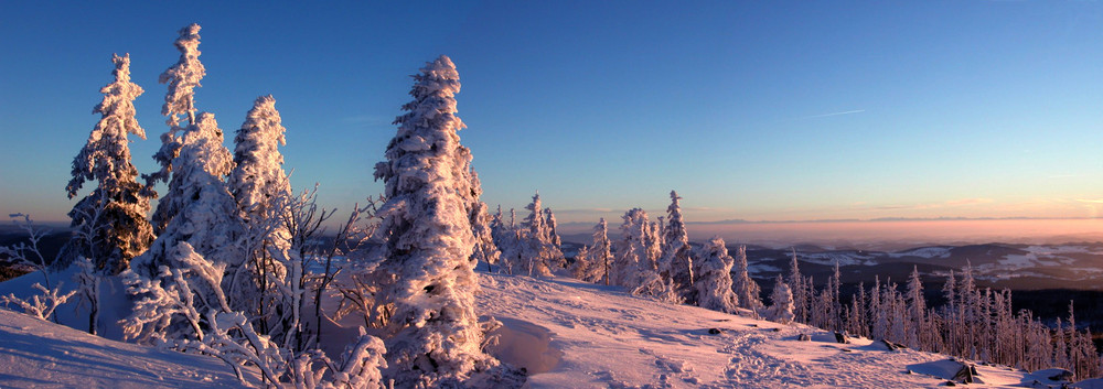 Panoramablick vom Lusen (Bayerischer Wald) aus in die Alpen