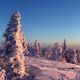 Panoramablick vom Lusen (Bayerischer Wald) aus in die Alpen