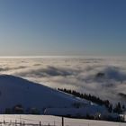 Panoramablick vom Schauinsland