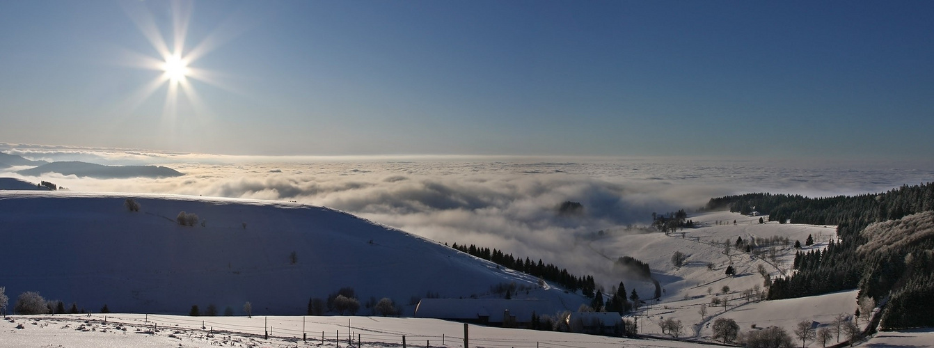 Panoramablick vom Schauinsland