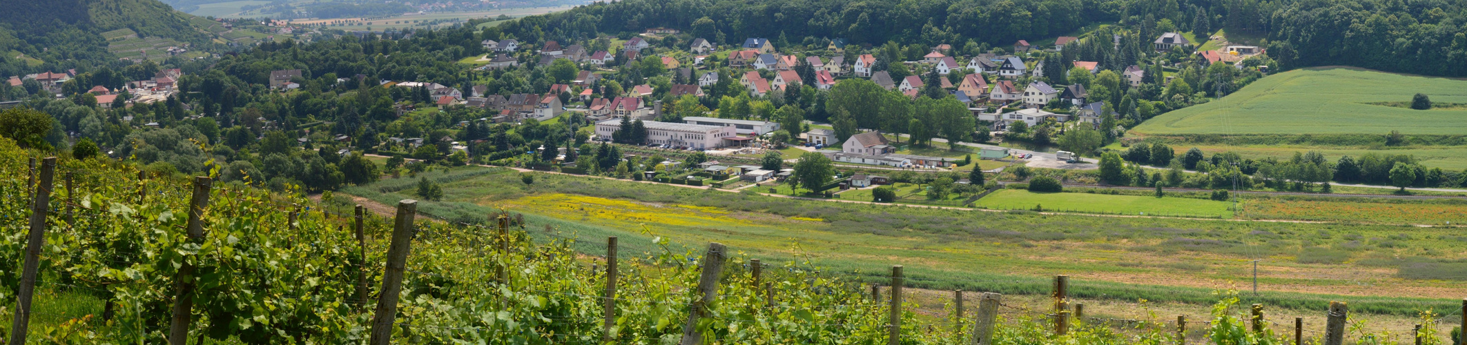 Panoramablick vom Schweigenberg auf Freyburg