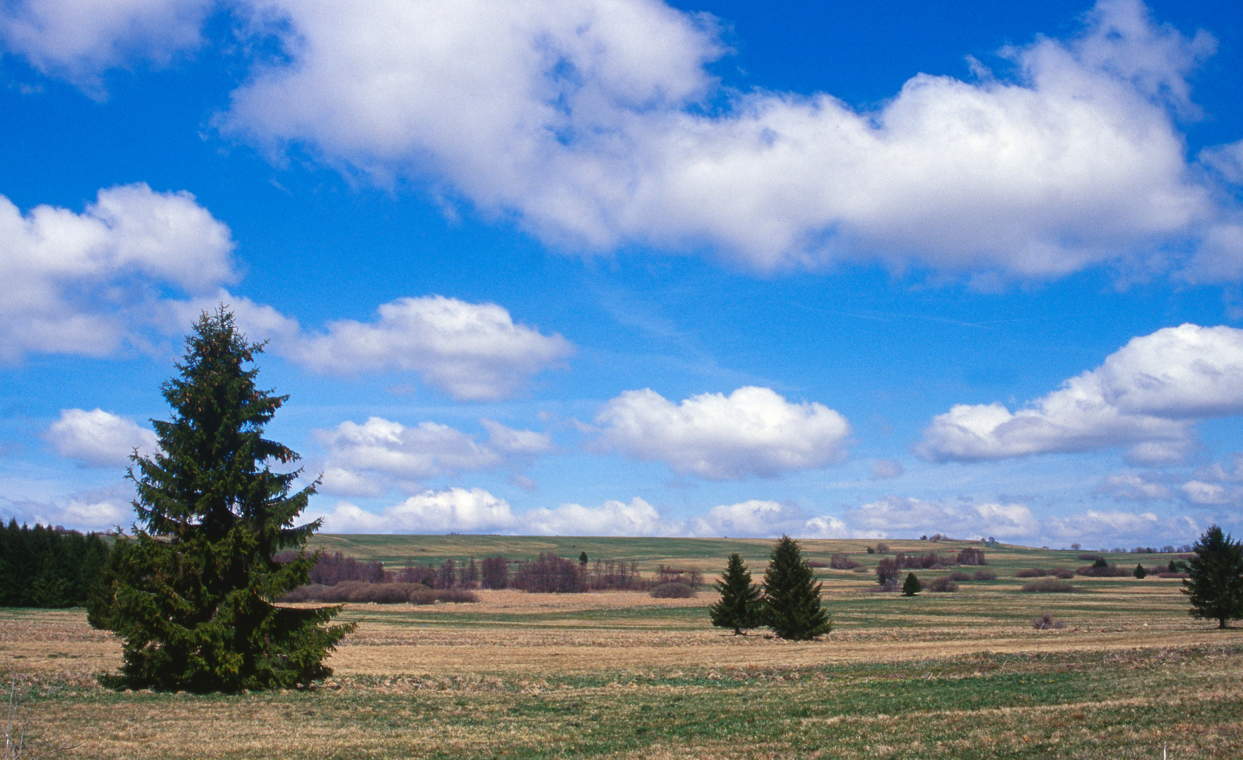 Panoramablick von der Hochrhönstraße