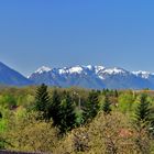 Panoramablick von Freilassing auf die Berchtesgadener Alpen