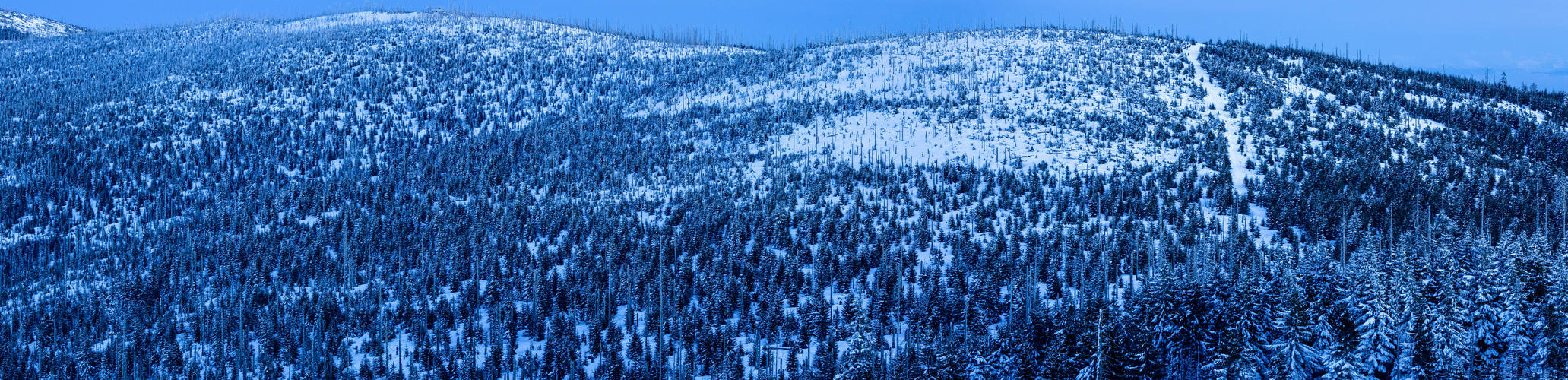 Panorama_BlueHour_Grenzweg 