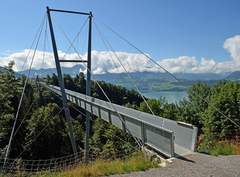 [ Panoramabrücke Sigriswil - III ]