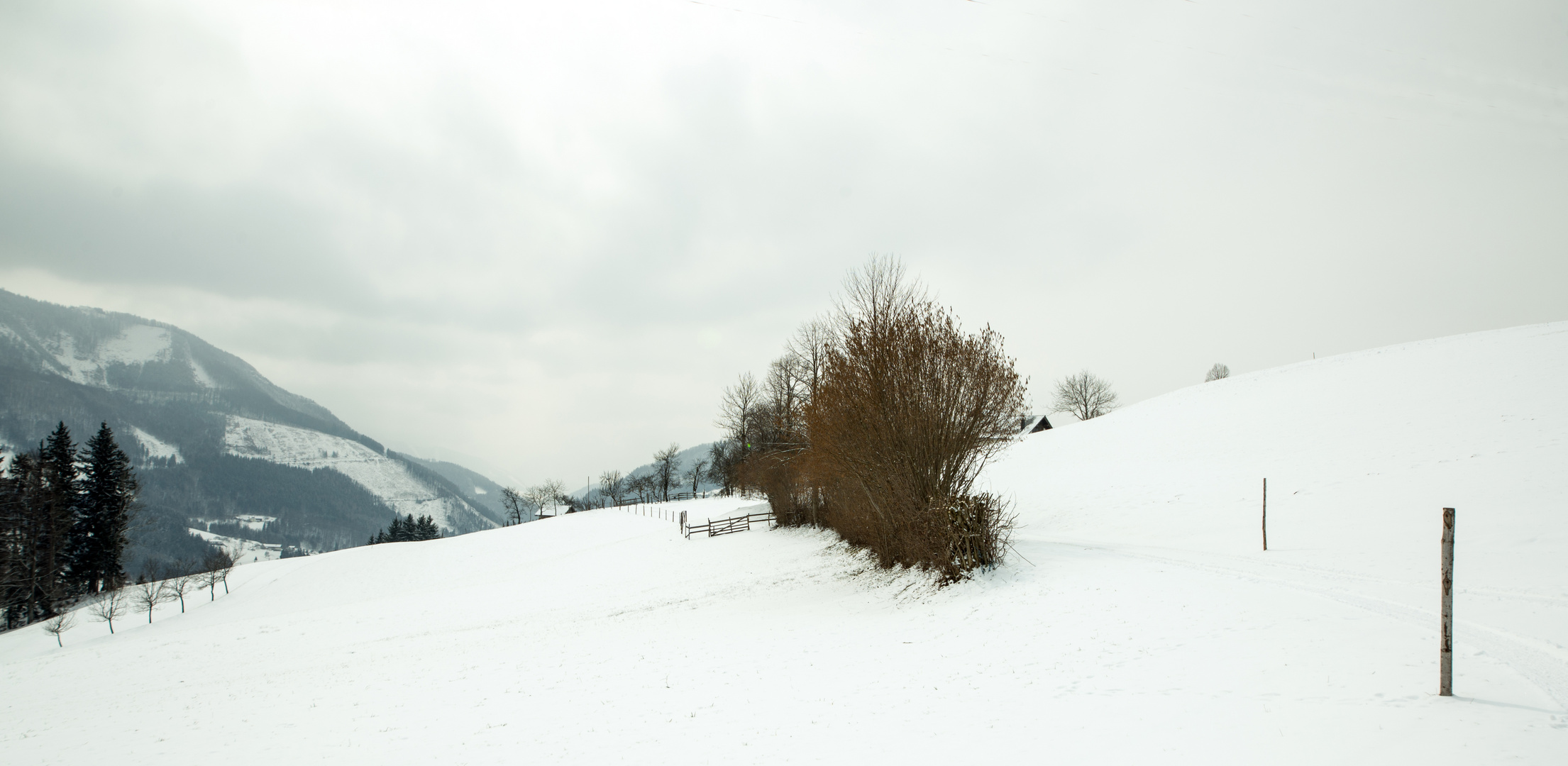 Panoramahöhenwanderweg Ybbssitz