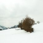 Panoramahöhenwanderweg Ybbssitz