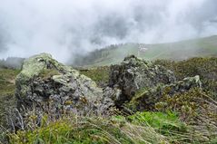 Panoramarundweg...