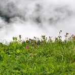 Panoramarundweg...(5)