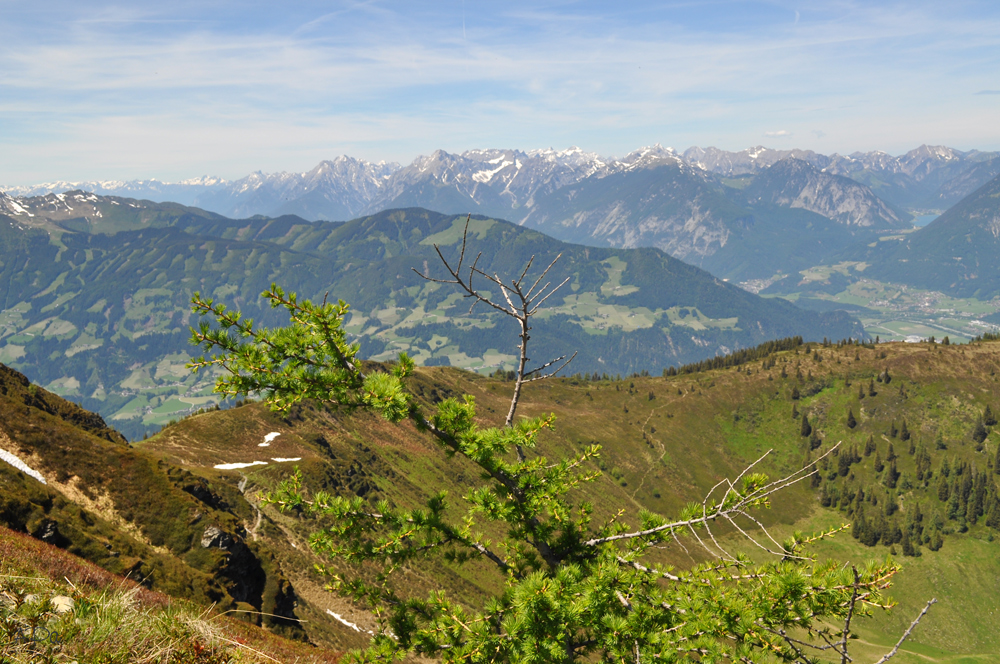 Panoramarundweg...(8)