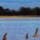 Panoramas von den Teichland Teichen