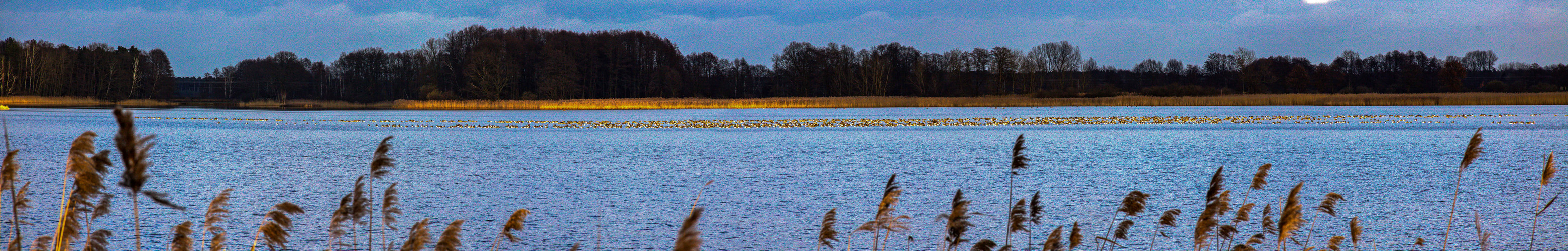 Panoramas von den Teichland Teichen