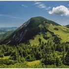 Panorama_Taubenstein