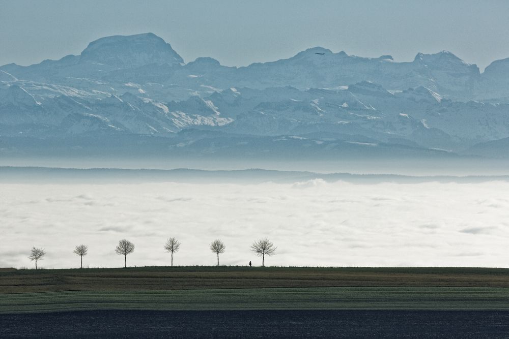 Panoramawanderweg 12.2015