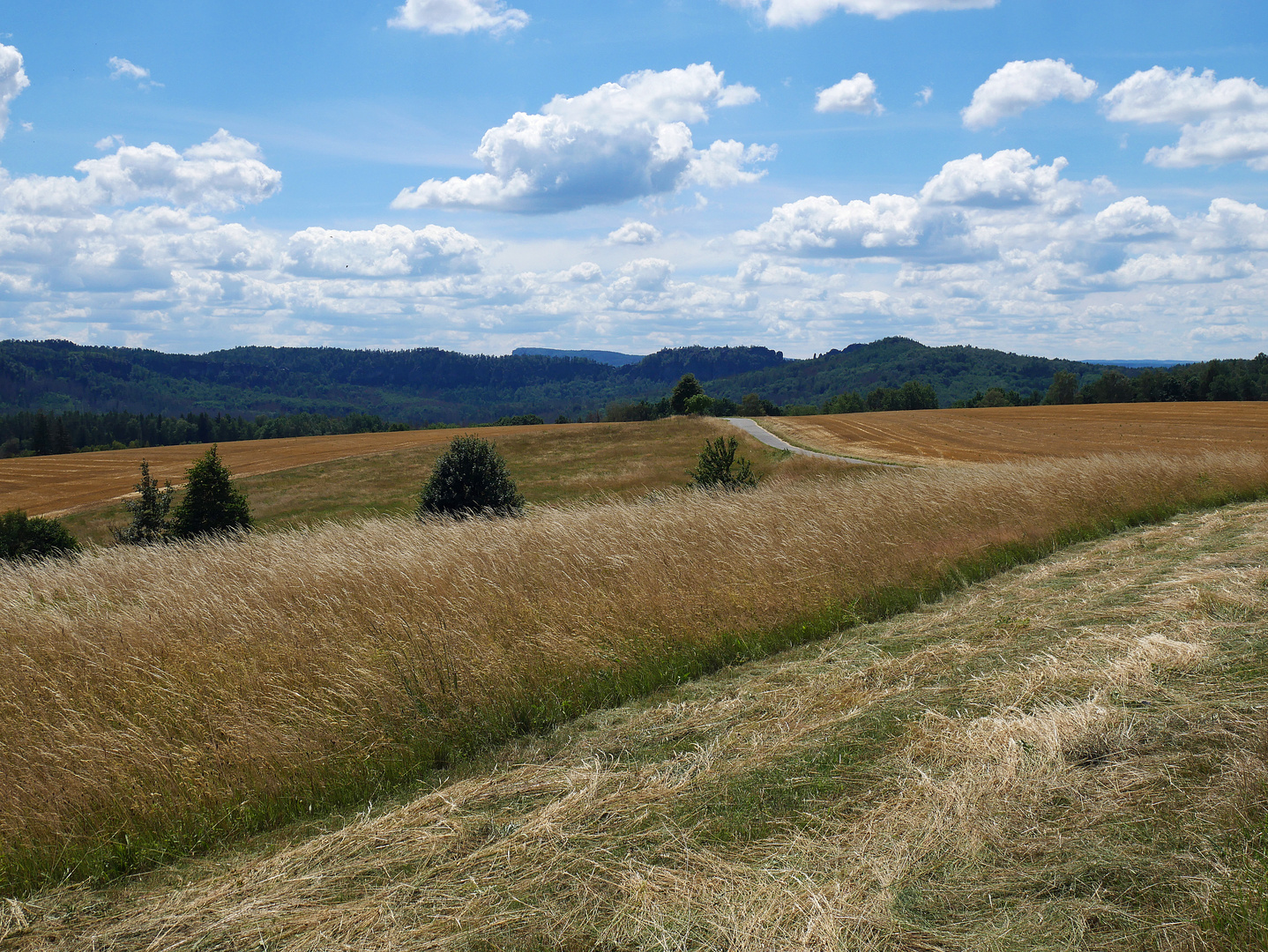 Panoramaweg (2)