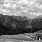 Panoramaweg in Biberwier in S/W