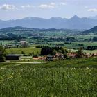 Panoramaweg Oy-Mittelberg / Oberallgäu (1)