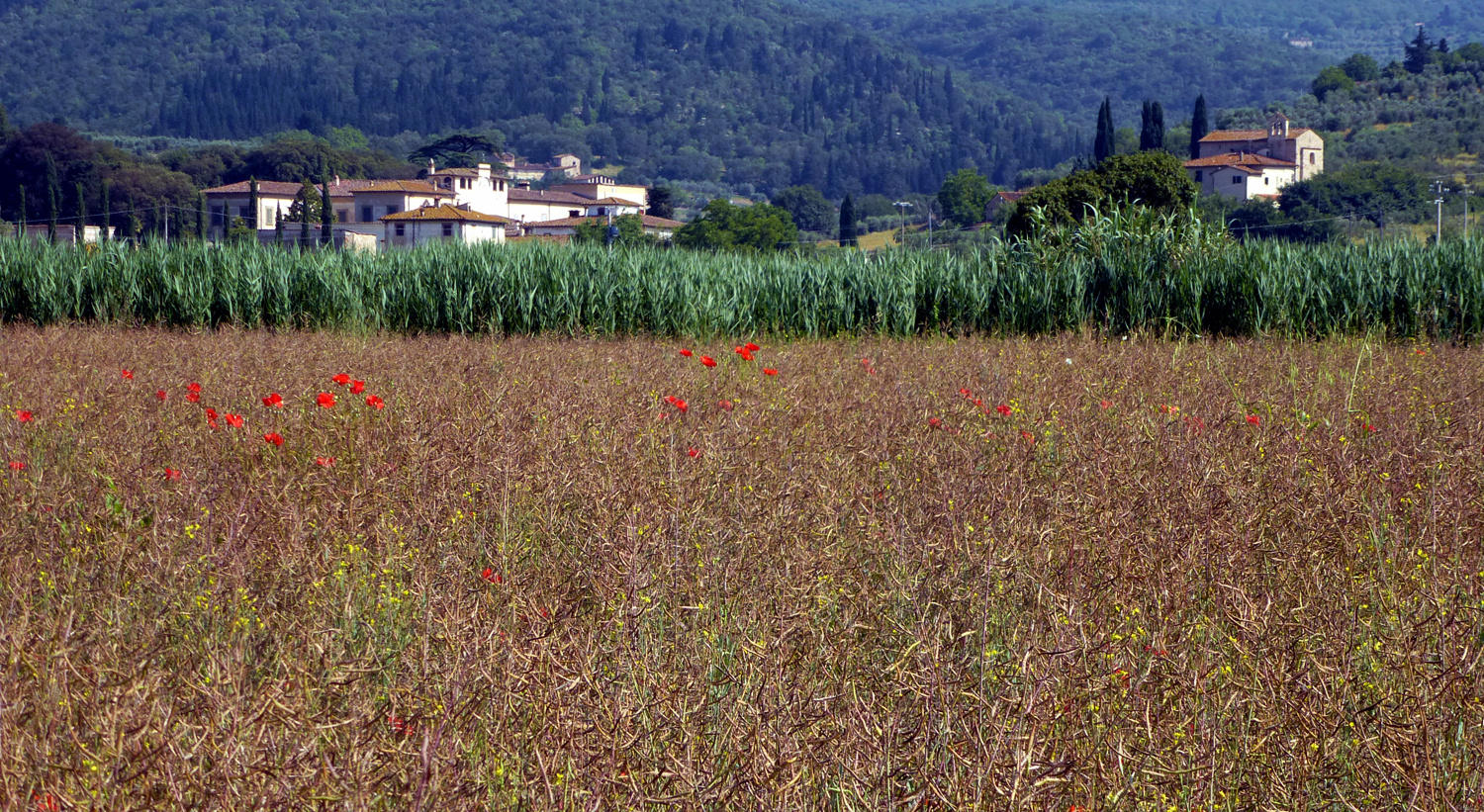 PANORAMI ESTIVI