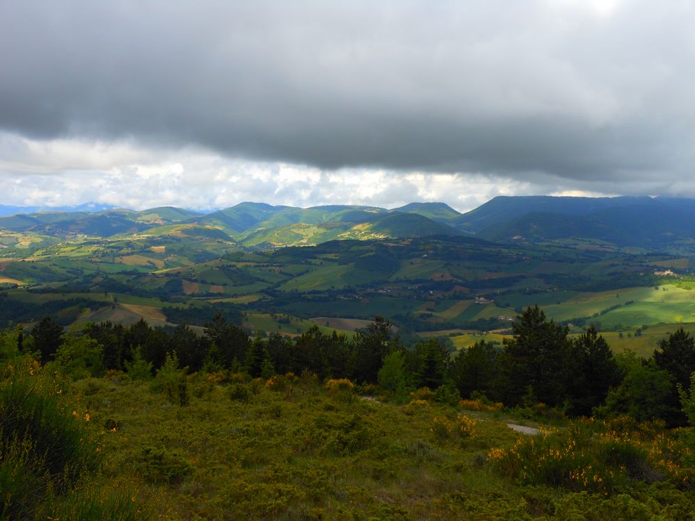 Panorami sanseverinati