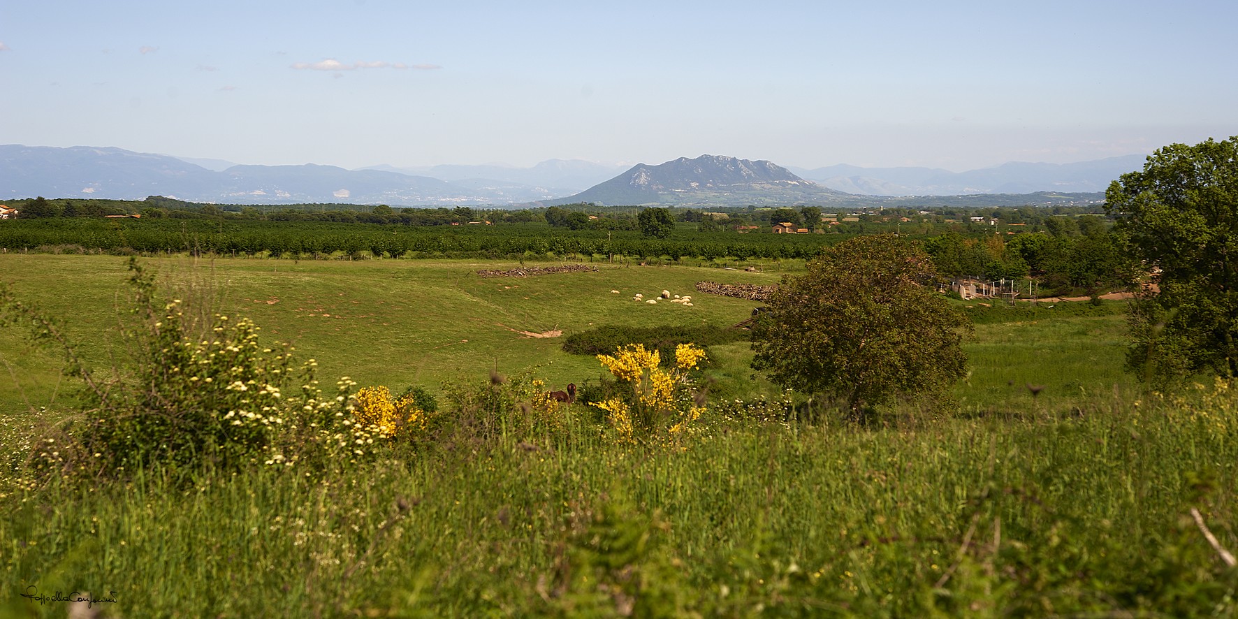 panoramic view