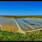 Panoramic view of a salt marsh