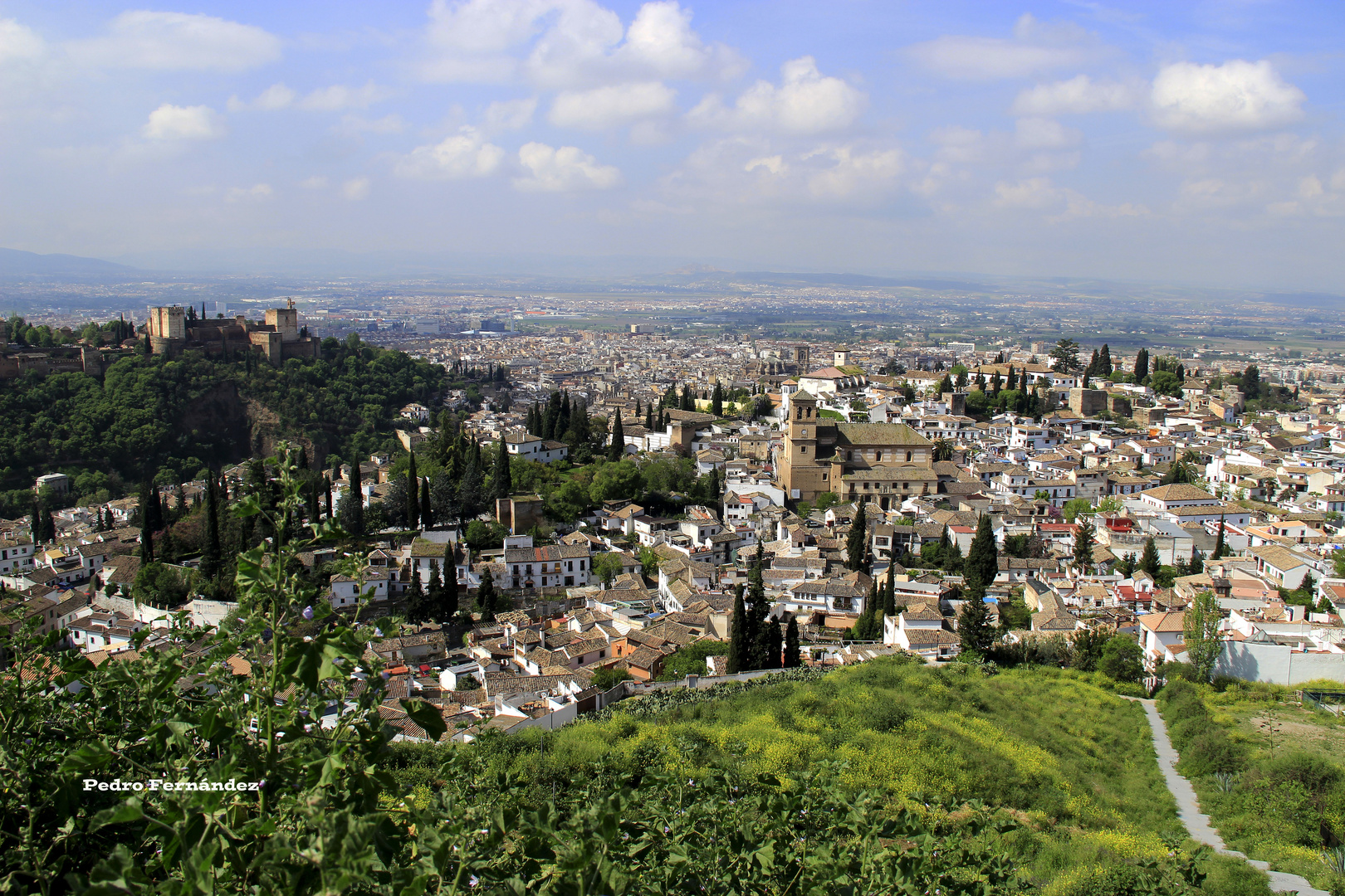 Panorámica: Albayzín, Alcazaba y Granada.