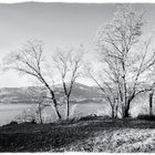 Panoramica da Castelveccana