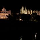 Panoramica de la Catedral de Palma de noche.