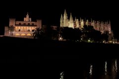 Panoramica de la Catedral de Palma de noche.
