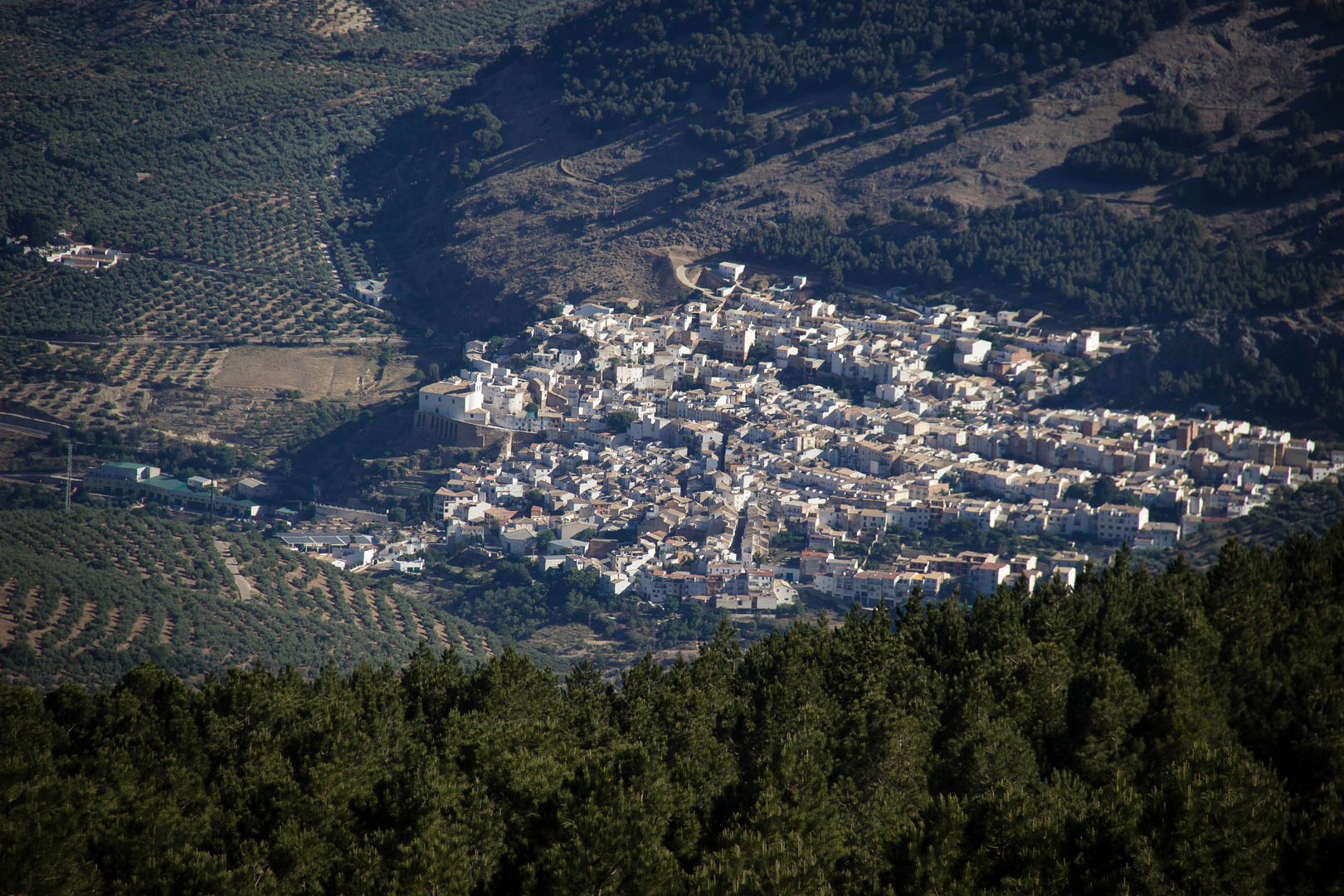 Panorámica de Torres