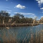 panoramica del castillo de zorita