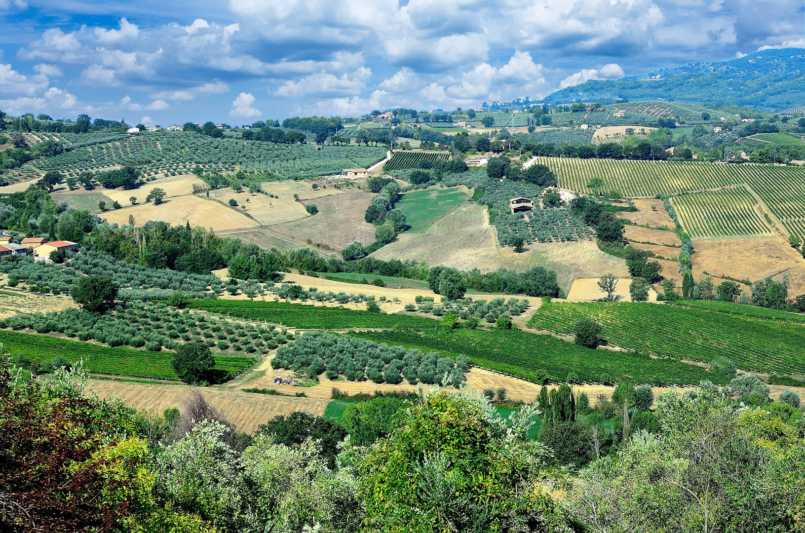 Panoramica del Sagrantino - Montefalco -PG