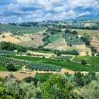 Panoramica del Sagrantino - Montefalco -PG