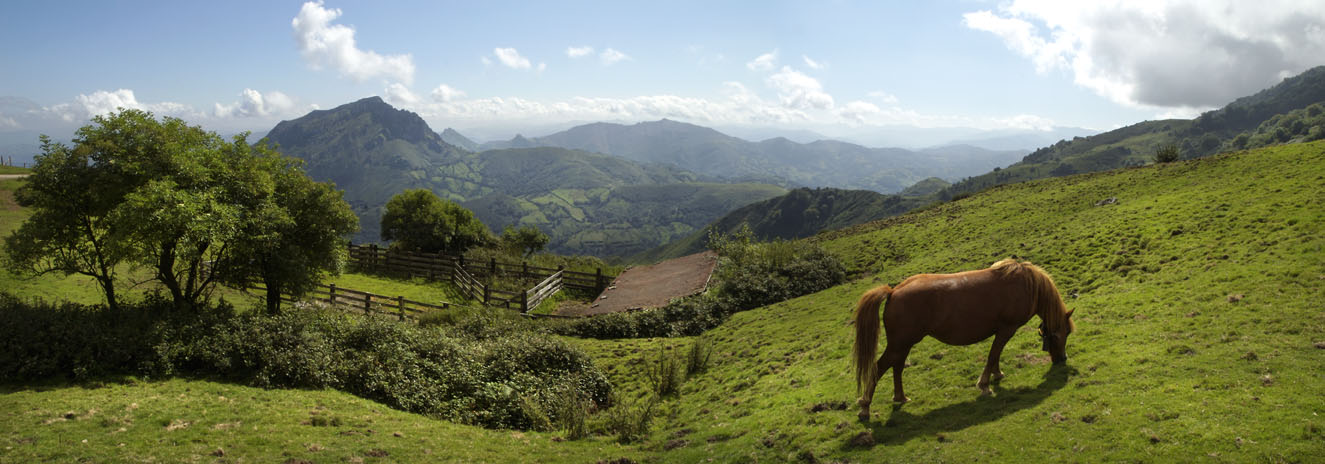 panorámica desde el Aramo