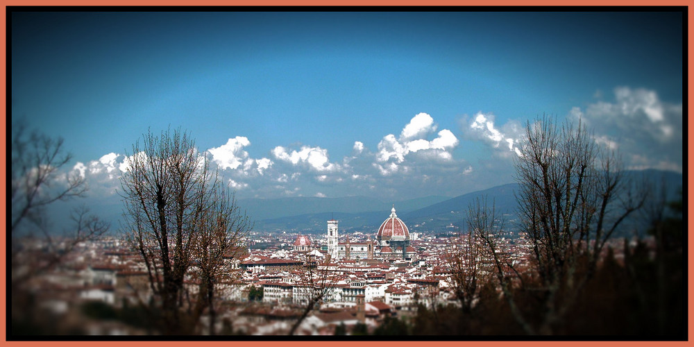 Panoramica di Firenze (04/2009)