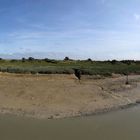 panoramique , le hourdel , le port (80)