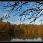 Panoramique sur La Hulpe