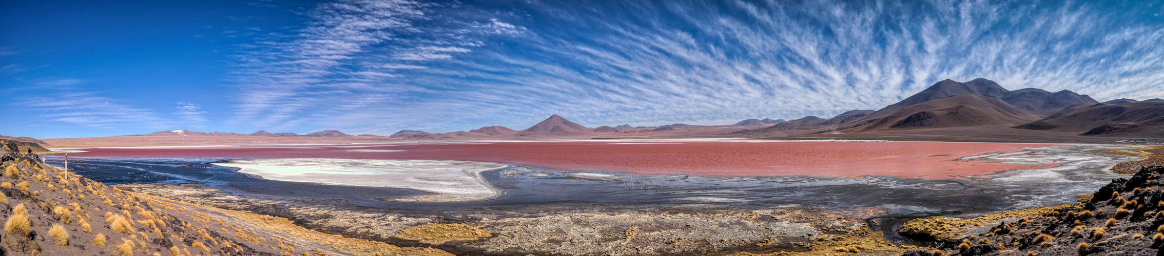 Panorgasmic Laguna Colorada