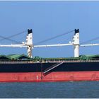 PANORIA / Bulk Carrier / Maasmond / Rotterdam