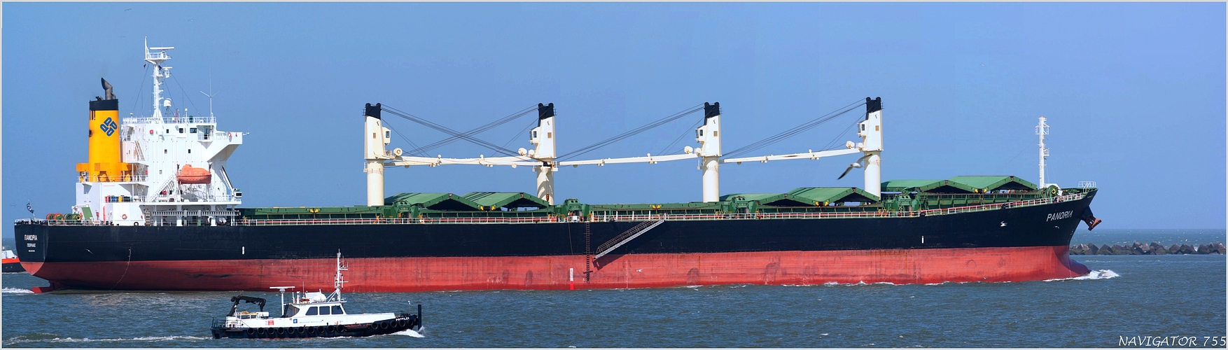 PANORIA / Bulk Carrier / Maasmond / Rotterdam