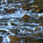 Panta rhei , das besagt:Alles fließt und nichts bleibt; es gibt nur ein ewiges Werden und Wandeln