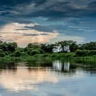 Pantanal-1-311