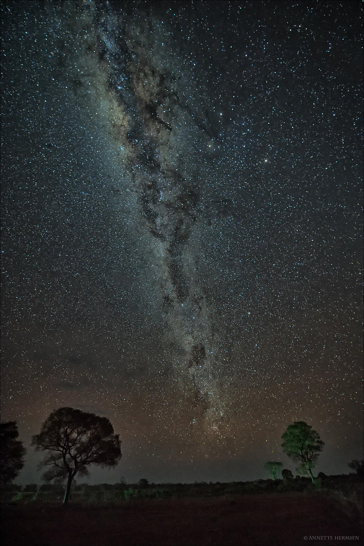 Pantanal [14] - Milky Way