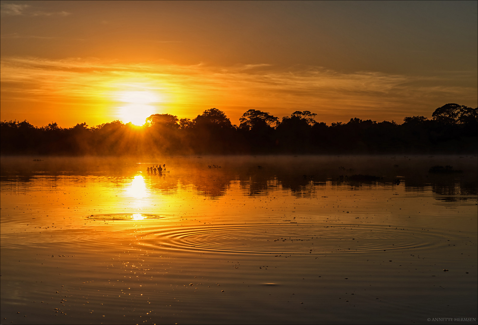 Pantanal [17] - Sunrise