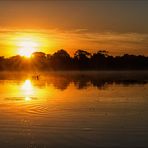 Pantanal [17] - Sunrise