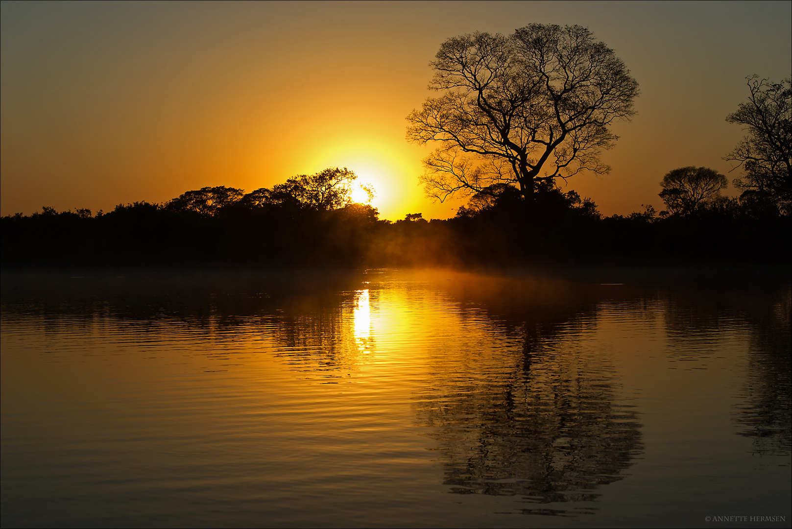 Pantanal [29] - Sunrise on Rio Claro