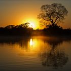 Pantanal [29] - Sunrise on Rio Claro
